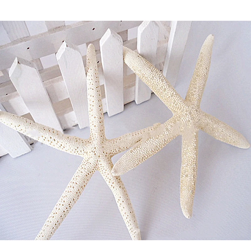 12pcs White Natural Finger Starfish Craft Decoration Natural Sea Star DIY for Beach Cottage Wedding Decor 7-11cm