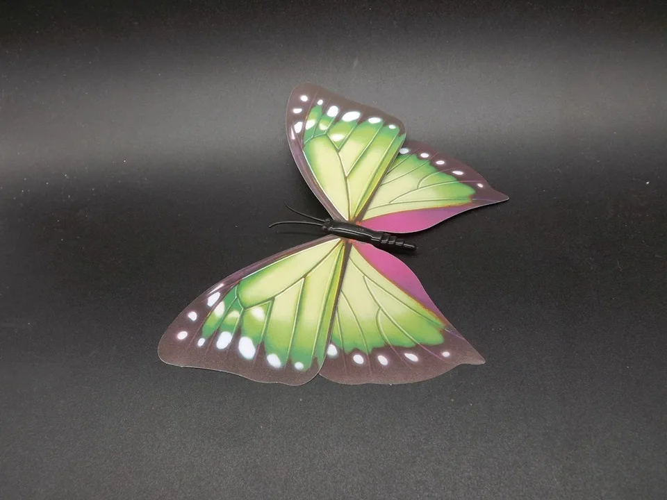I238-Butterfly (6)