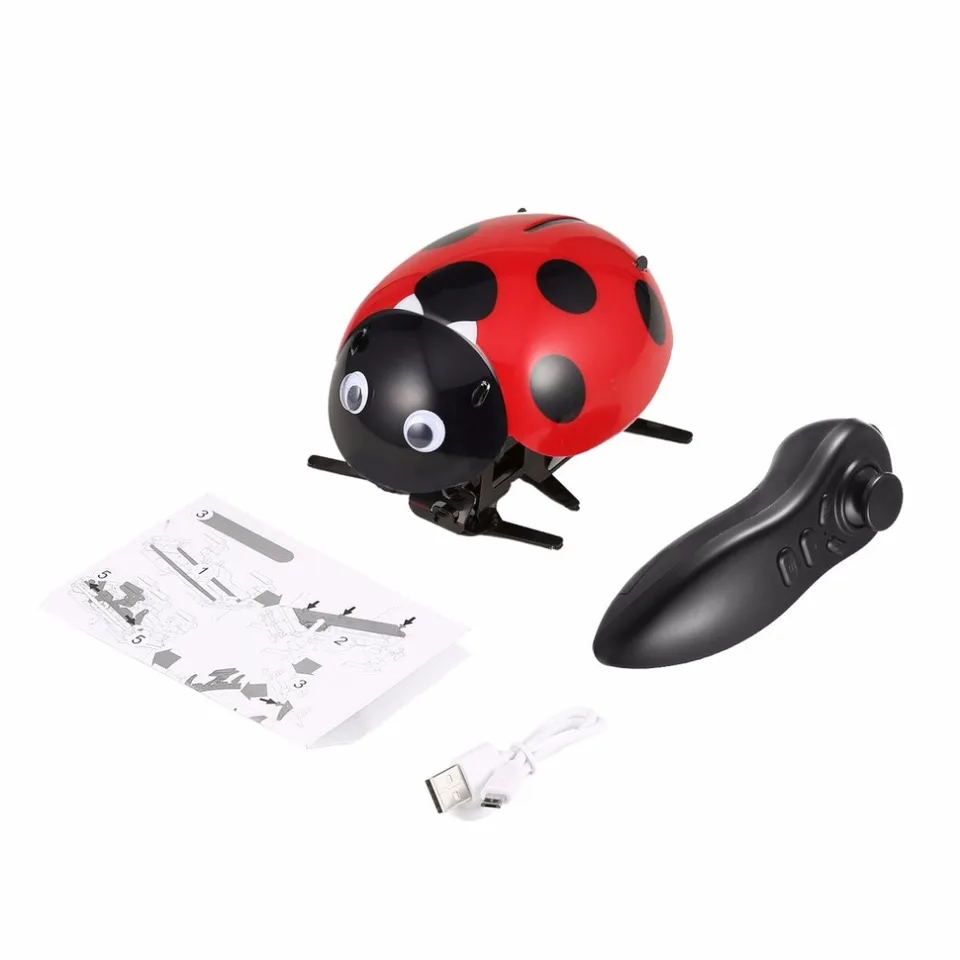ladybug rc car