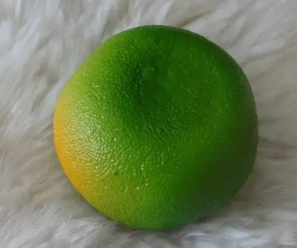 1 шт. высокое моделирование для фруктов яблок/оранжевый/модель ананаса магазин украшения ресторана домашний орнамент пропеллер модели - Цвет: Green Tangerine 8cm