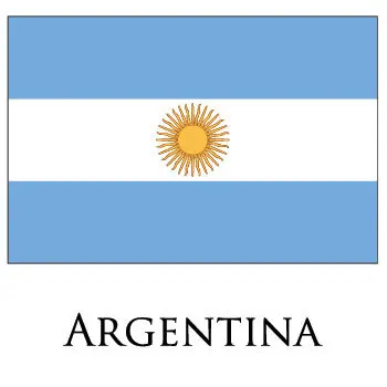 2pcs lot bandera de