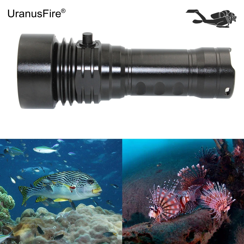 underwater video light (2)