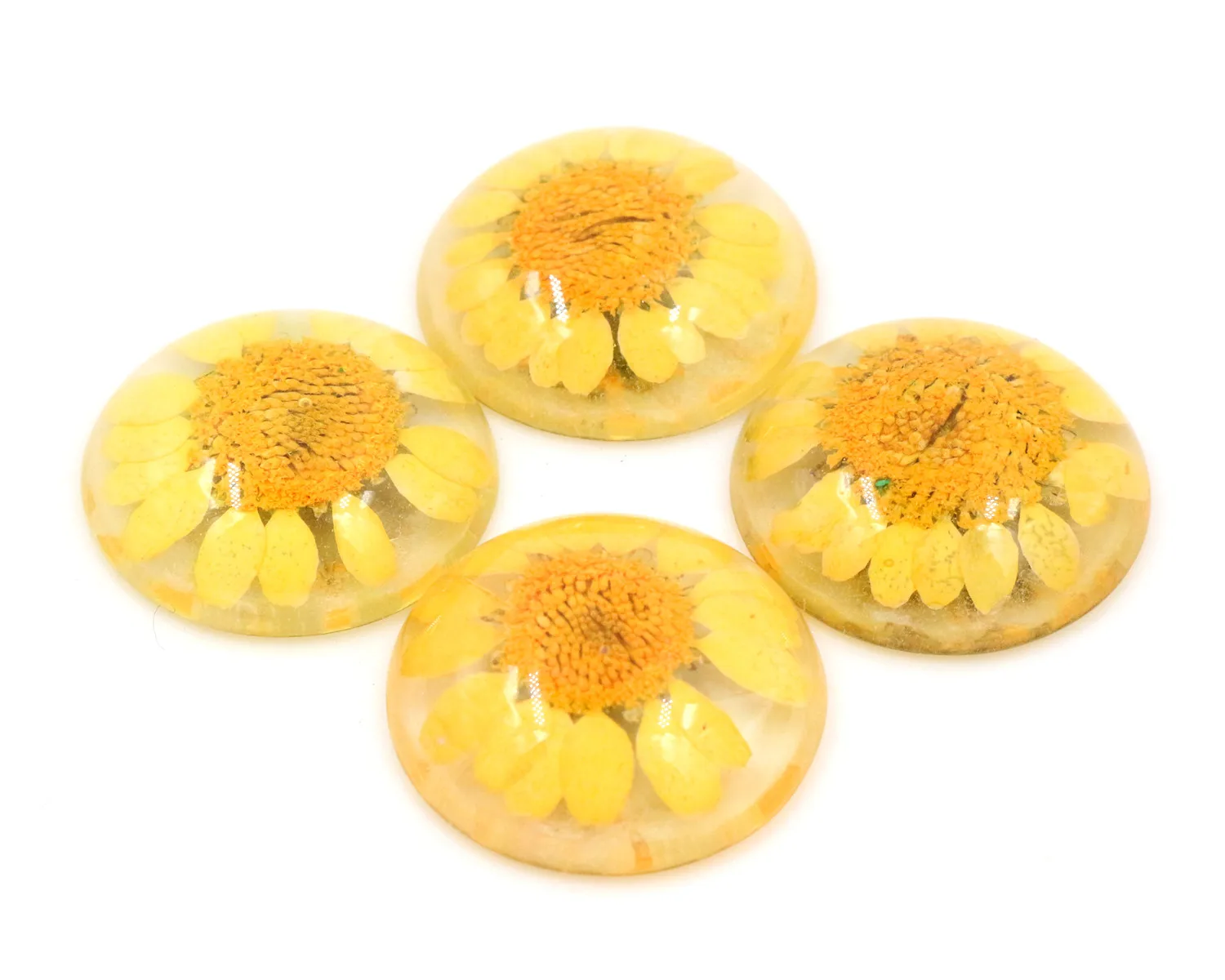 

New Fashion 5pcs 25mm Natural Dried Flowers Flat Back Resin Cabochons Cameo G3-40