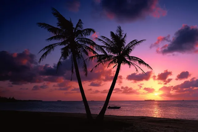 diy frame tropical beach trees sunset city landscape scenery poster