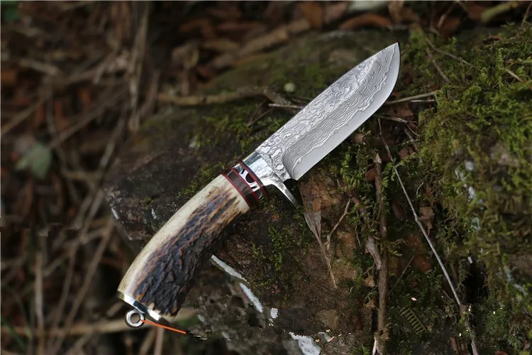 TB2uM7EnpXXXXamXpXXXXXXXXXX_!!2646315462