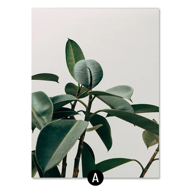 ART-ZONE-Green-Tree-Branch-Still-Life-Painting-Plant-Art-Photography-Poster-Modern-Wall-Picture-Living.jpg_640x640