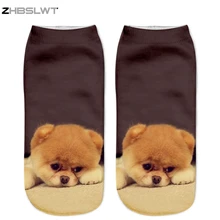 ZHBSLWT, новинка, женские носки с 3D принтом, унисекс, милые короткие носки, несколько цветов, женские повседневные носки с изображением животных, собаки-01