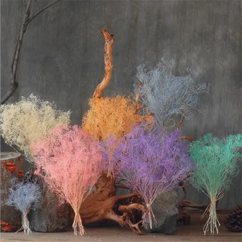 

1bundle Gypsophila 45-50CM DIY Wedding Party Photo Props Pure natural plant Dried Flowers Cafe Library Home decoration