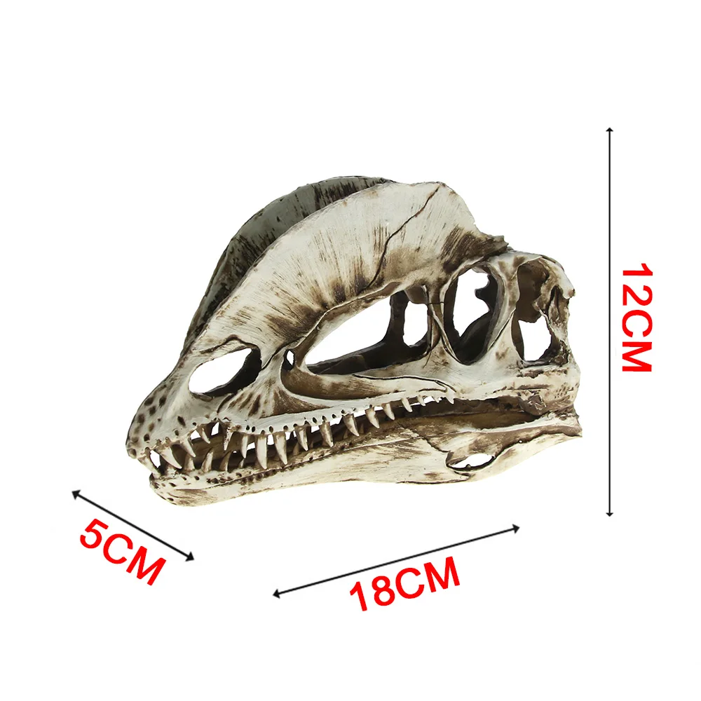 Двойной дракон гребень череп динозавра обучающая модель орнамент Ceratosaurus Смола дилофозавр голова Скелет аквариум домашний декор