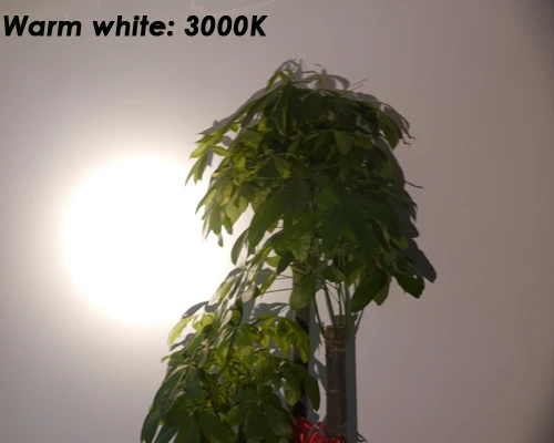 Warm white 3000K