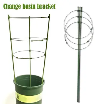 

Potted Plant Fixture Rattan Planter Traction Vine Garland Supports Fixed Figure Flower Cages +Supports Stand Garden Supplies