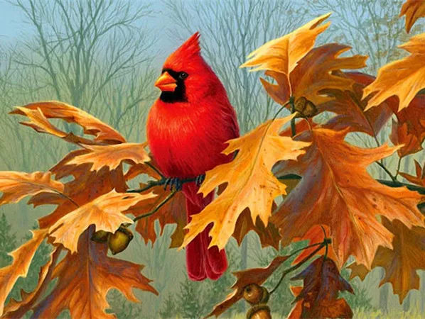 5D DIY cardinal Diamond Painting kokoer Full Diamond Diamond Embroidery