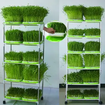 

Seed Sprouter Tray Double-layer Soilless Culture Seeds Hydroponic Nursery Tray Double-layer Planting Water Tray