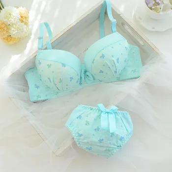 

Sexy Women Lace Bra Set Cotton Embroidery Underwear Push Up Bra