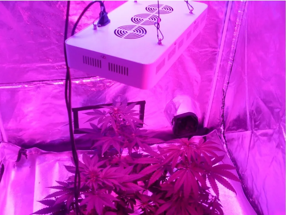 Deep Red LED Grow Lights, High Photosnythetic Active Radiation, Greenhouse Supplement, Night