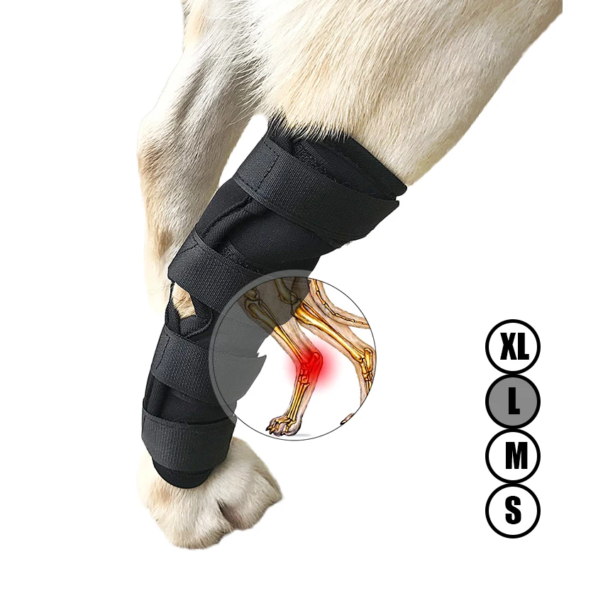 

Dog Canine Rear Leg Knee Brace Hock Joint Wrap for Heals and Prevents Injuries and Sprains Helps with Loss of Stability (S-XL)