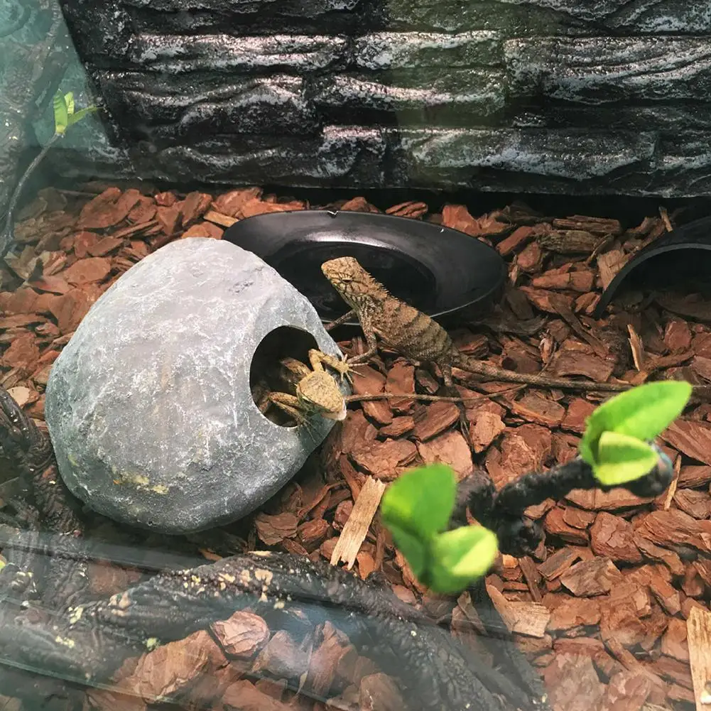 Ни один ящик для рептилий ящерица, змея паук-Скорпион Кошкин дом с Декор для аквариума
