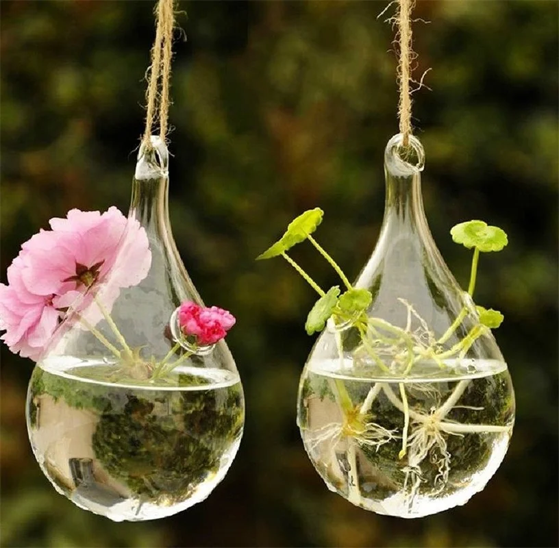 Light Bulb Shaped Glass Vase Home Decoration Air Plant Container Flowers Vase with Strings for Hydroponic Tiny Air Plants Jucoan 4 Pack Hanging Glass Terrarium Planters 