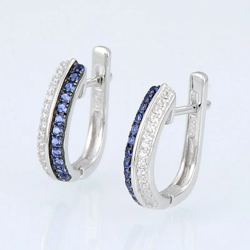 E307179BZZSK925-SV4-Silver Earrings