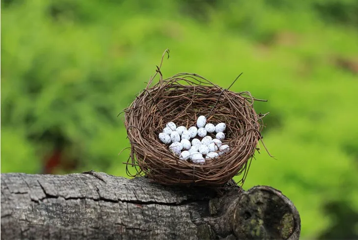 Искусственное гнездо птица яйца миниатюрная Фея Сад домашнее украшение для дома мини ремесло Ландшафтный Декор микро DIY аксессуары
