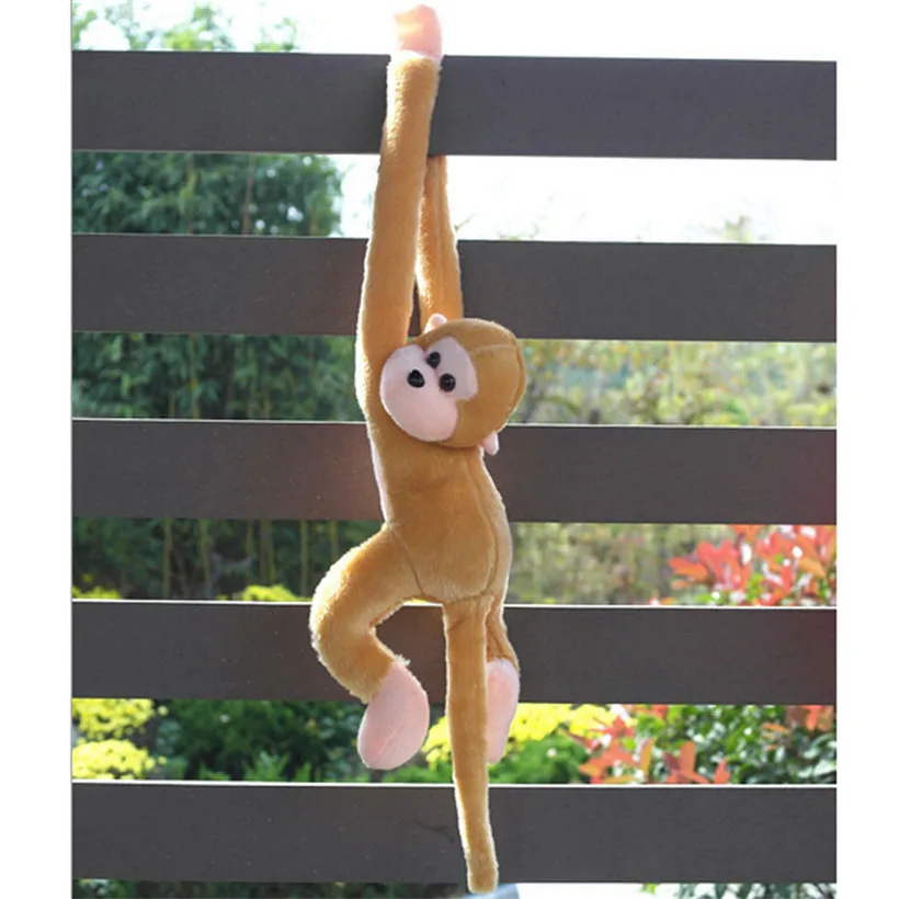 TOY (5)