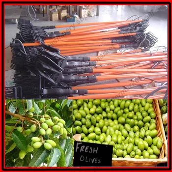 

Low price good quality electric 12v battery 120w fruit olive picker
