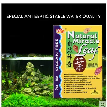 

New Aquarium Natural Miracle Leaf Almond Leaves In Fish Tank Filter Improve Water Quality Stabilize PH Singapore Ocean Free Leaf