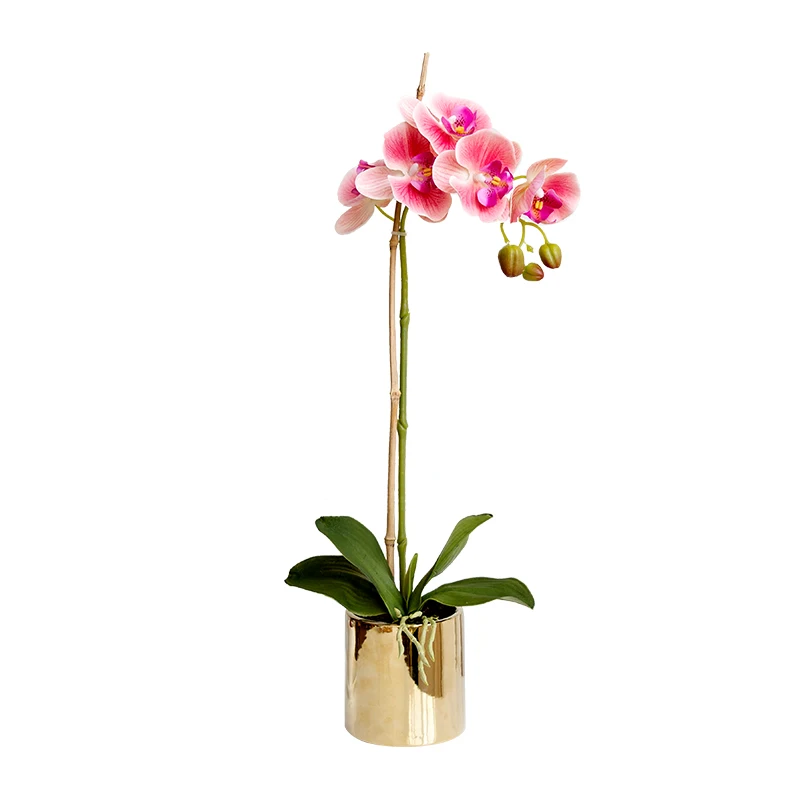 искусственные цветы в горшке Phalaenopsis Моделирование цветок гостиная мебели