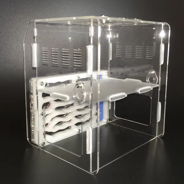 ant-nest-large-size-one (7)