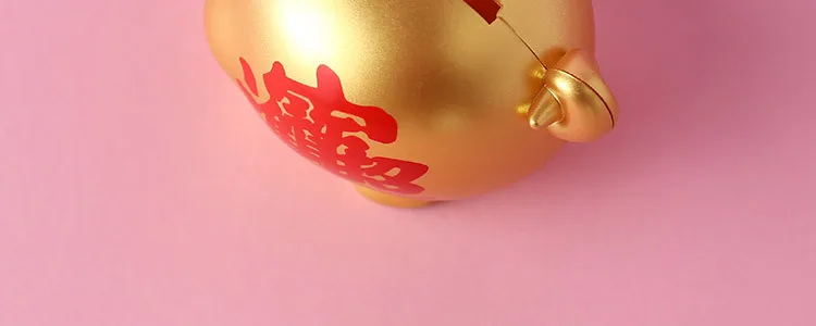 piggy bank (6)