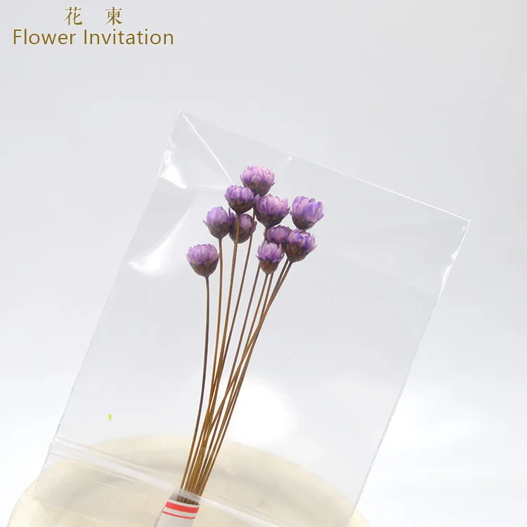 Цветок приглашение Бразилия звезда цветок 10 шт_ Сделай Сам ручной работы Смола цветок материал растения сушеные цветы - Цвет: purple