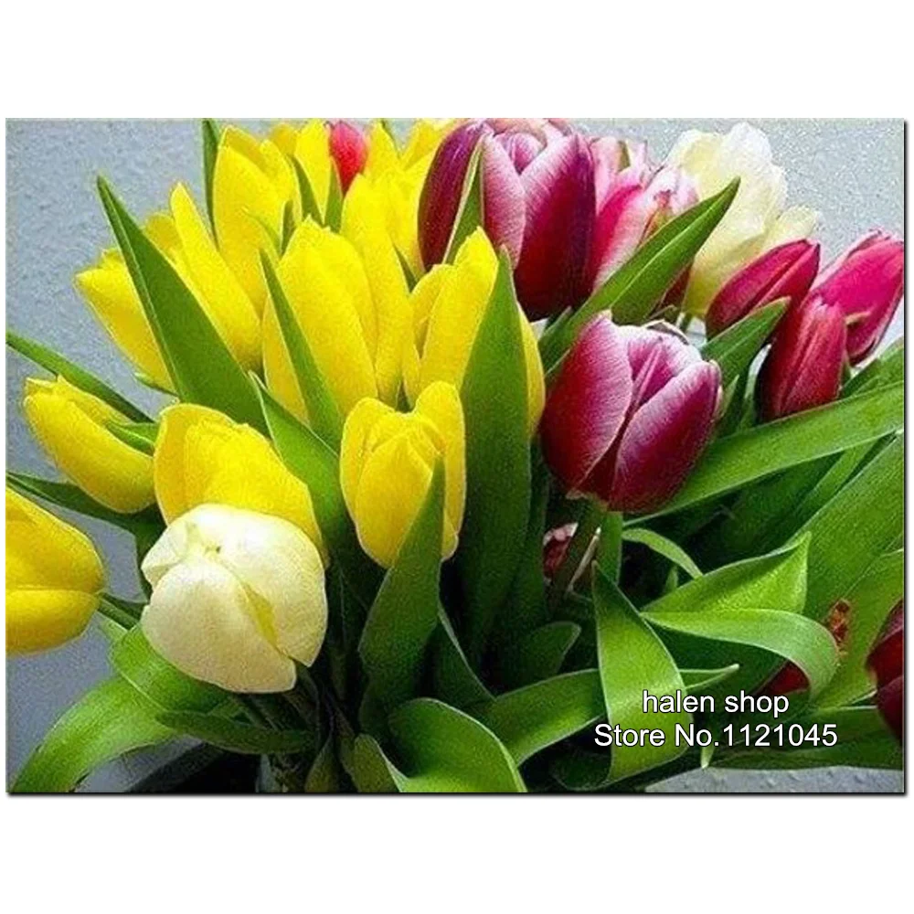 

Mosaic Full Diamond Embroidery Tulip Diy Diamond Painting Cross Stitch Round Diamond Sets Unfinished Patchwork Kits XC268