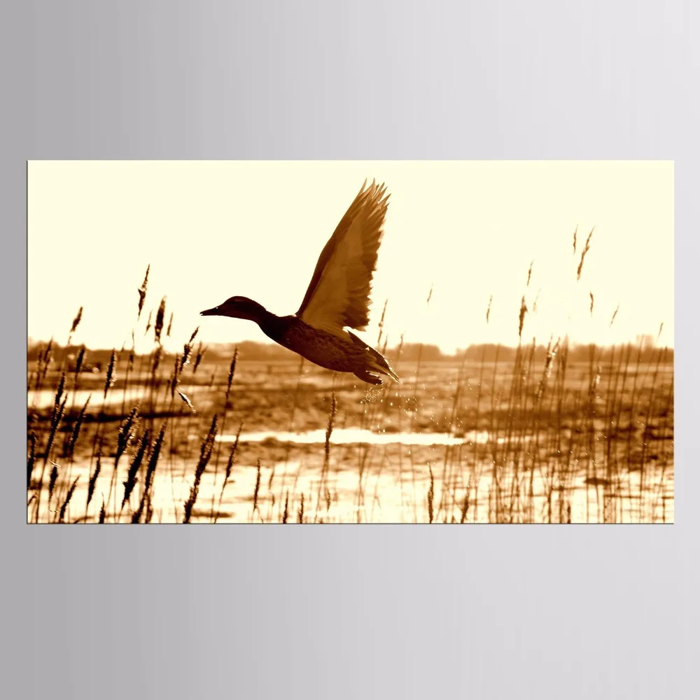 Download 1 Panel Vogels Vliegen Op De Oceaan Zonsondergang Muur Schilderen Print Op Canvas Voor Home Decor Ideeen Verf Op Muur Foto Kunst Omlijst Paintings Bird Canvas Panel Framesbird Paint Aliexpress Desktop Wallpaper Free Wallpaper 1 Panel Vogels Vliegen Op De Oceaan Zonsondergang Muur Schilderen Print Op Canvas Voor Home Decor Ideeen Verf Op Muur Foto Kunst Omlijst Paintings Bird Canvas Panel Framesbird Paint Aliexpress For Android Free