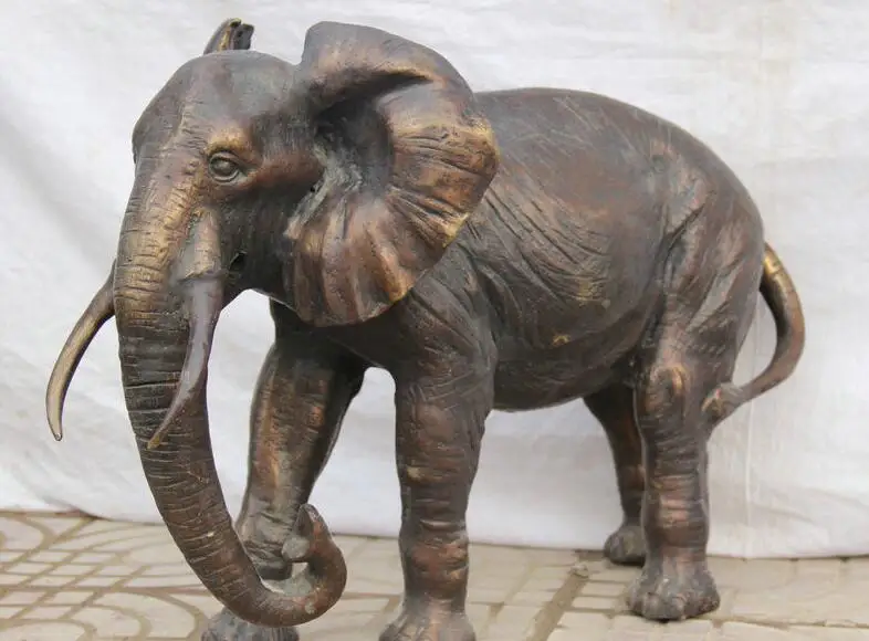 Unduh 850 Gambar Gajah Berdiri Keren 