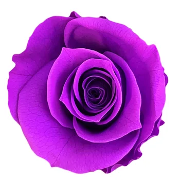 

12PCS/BOX 3-4cm Preserved Flowers Flower Immortal Rose Valentine's Day Gift Eternal Life Flower Gift box Wholesale Level A