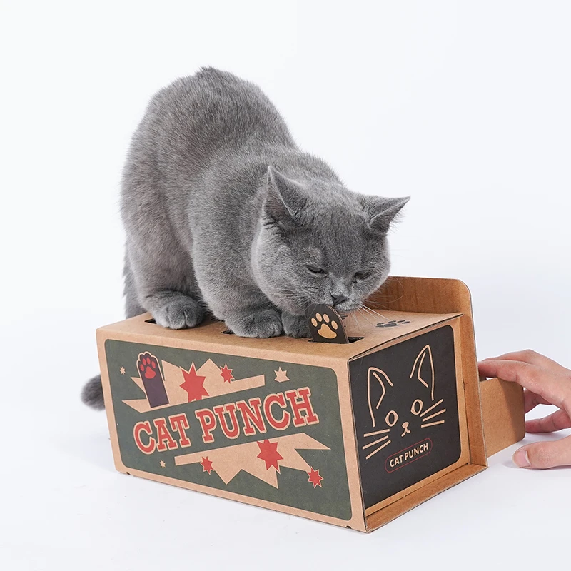 cat treat puzzle box