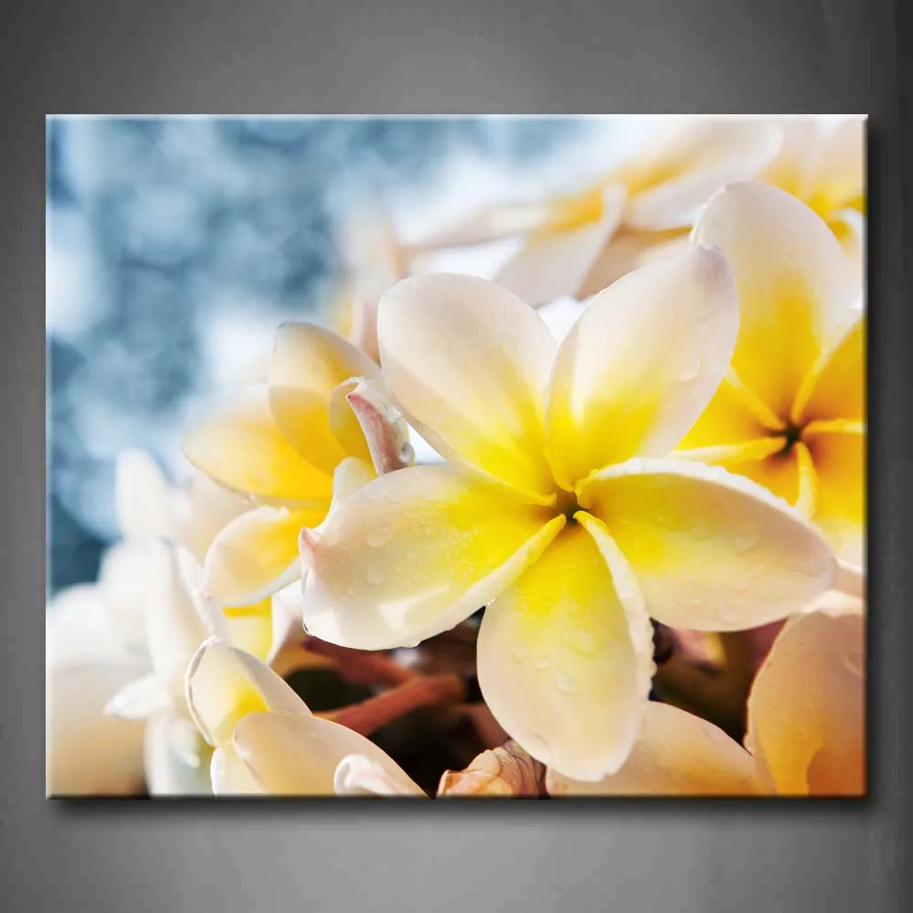 

1 Pic Framed Wall Art Picture Frangipani Flowers Water Dew Canvas Print Flower Modern Poster With Wooden Frame For Decor