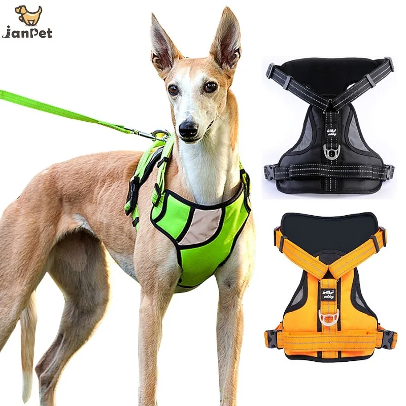 

Dog Harness Latest style Reflective chest strap Nylon Traction rope Large dog harness Waterproof fabric chest strap