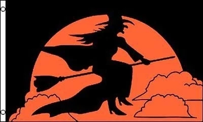 FLYING HALLOWEEN WITCH  3 X 5 FLAG banner FL678 flags 3x5 holiday novelty flags (1)
