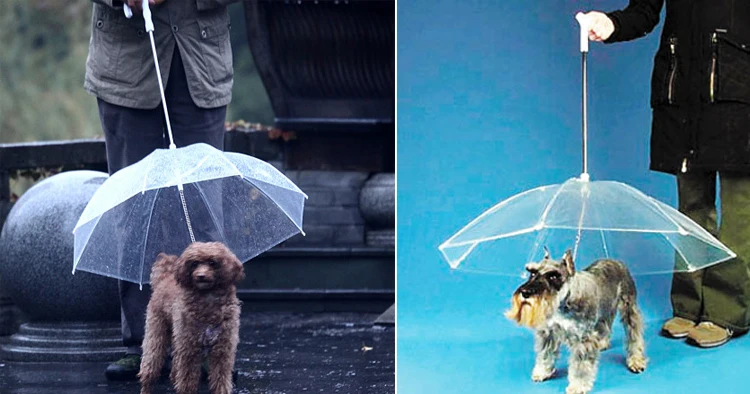 Собака Защитный зонтик полиэтиленовая модная дождевик для домашних животных выгуливай собаку солнцезащитный Зонт с цепочкой