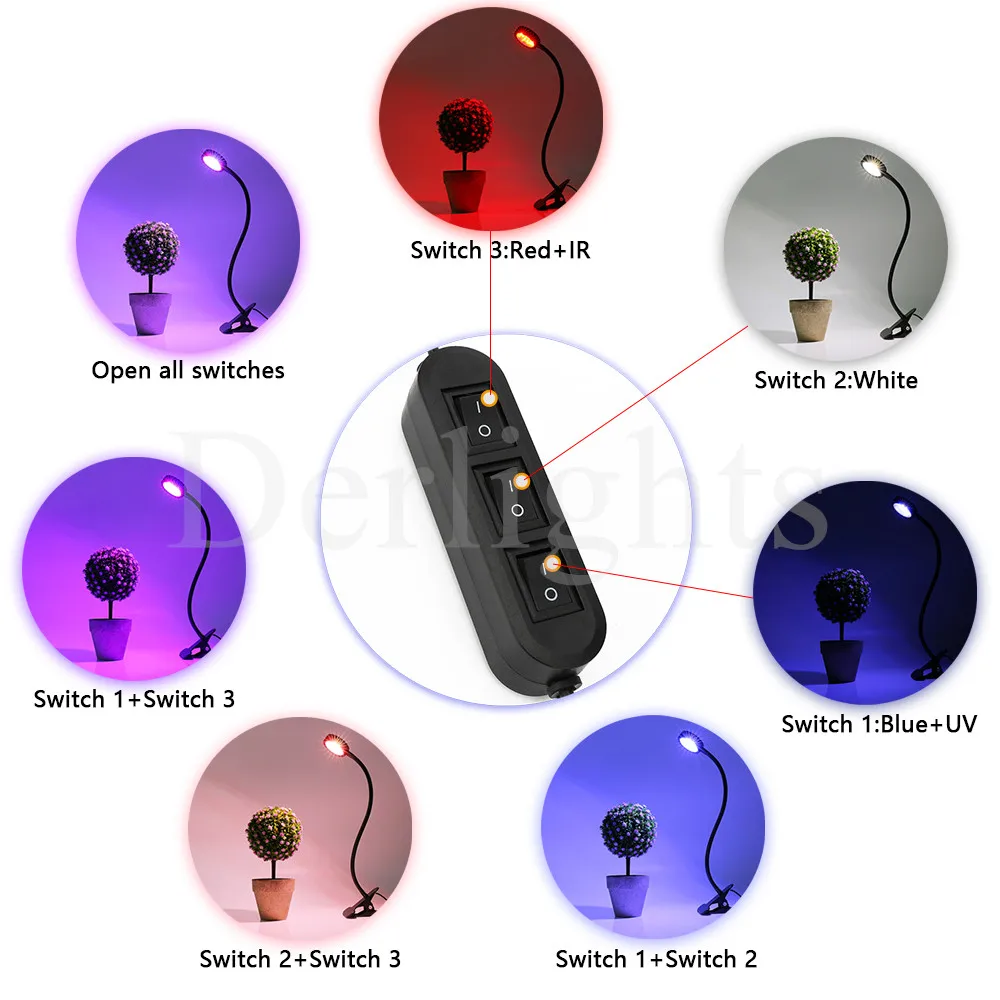2 шт./лот выключатель затемнения светодиодный светать с стол держатель Клип растет светильник для внутреннего парниковых растениеводства