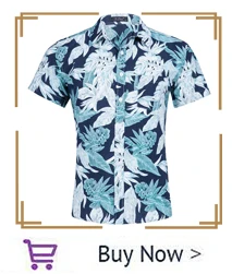 hawaiian_03