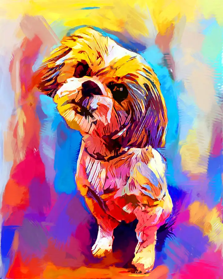 shih-tzu-4-chris-butler