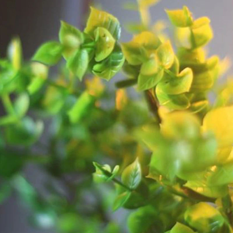 TB2QbRMeWmWBuNjy1XaXXXCbXXa_!!3181097473