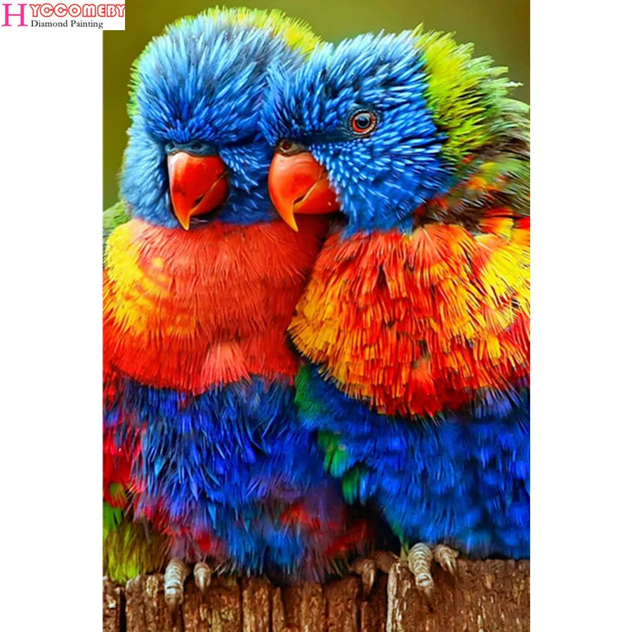 Разноцветные Животные Фото