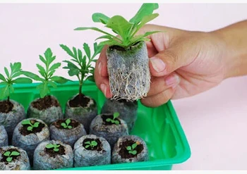 

30pcs,25mm jify peat Planting,cutting,garden supplies,seed starter,vegetable seeds pellete.new planter,spring need