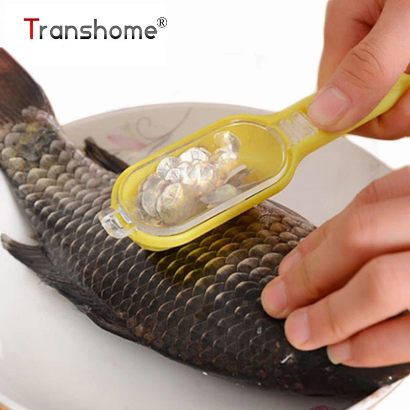 

Transhome Knife For Fish Cleaning Fish Skin Brush Scraping Fishing Scale Brush Graters Fast Remove Clean Fish Seafood Tools