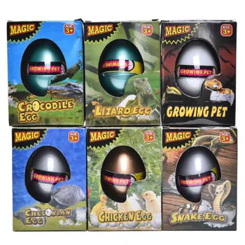 

1PCS New Children's Funny Toy Water Expansion Hatching Egg Animal Box Large Dinosaur Eggs Children Kids Toys