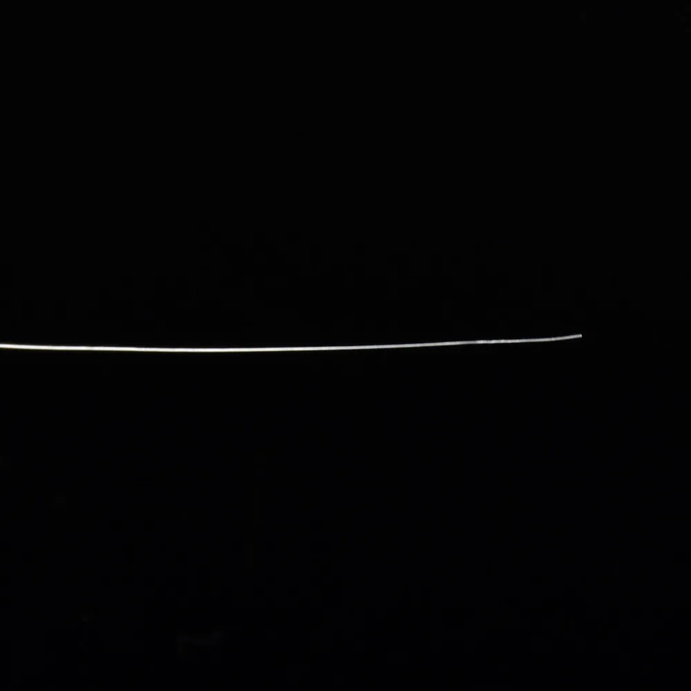 DSC_1347