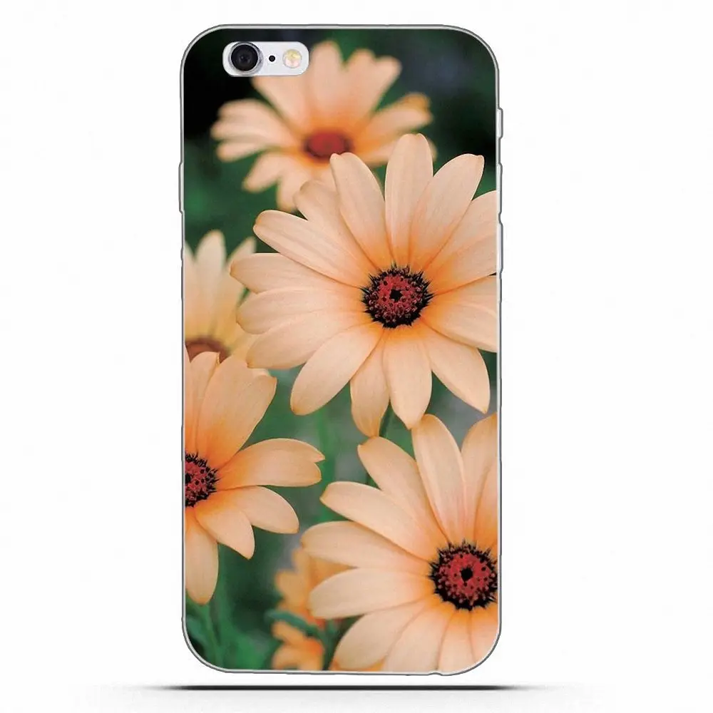 Wexoeq For Huawei Honor 4C 5A 5X 6A 6C 6X 7X 9 V8 V10 Mate 7 8 10 P9 P20 Pro Lite Play Soft Coque Daisy Flower